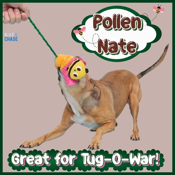 Bark Box Pollen Nate Dog Toy Xs S Bumble Bee Flying Flower Tug Squeaky Garden - Picture 9 of 9